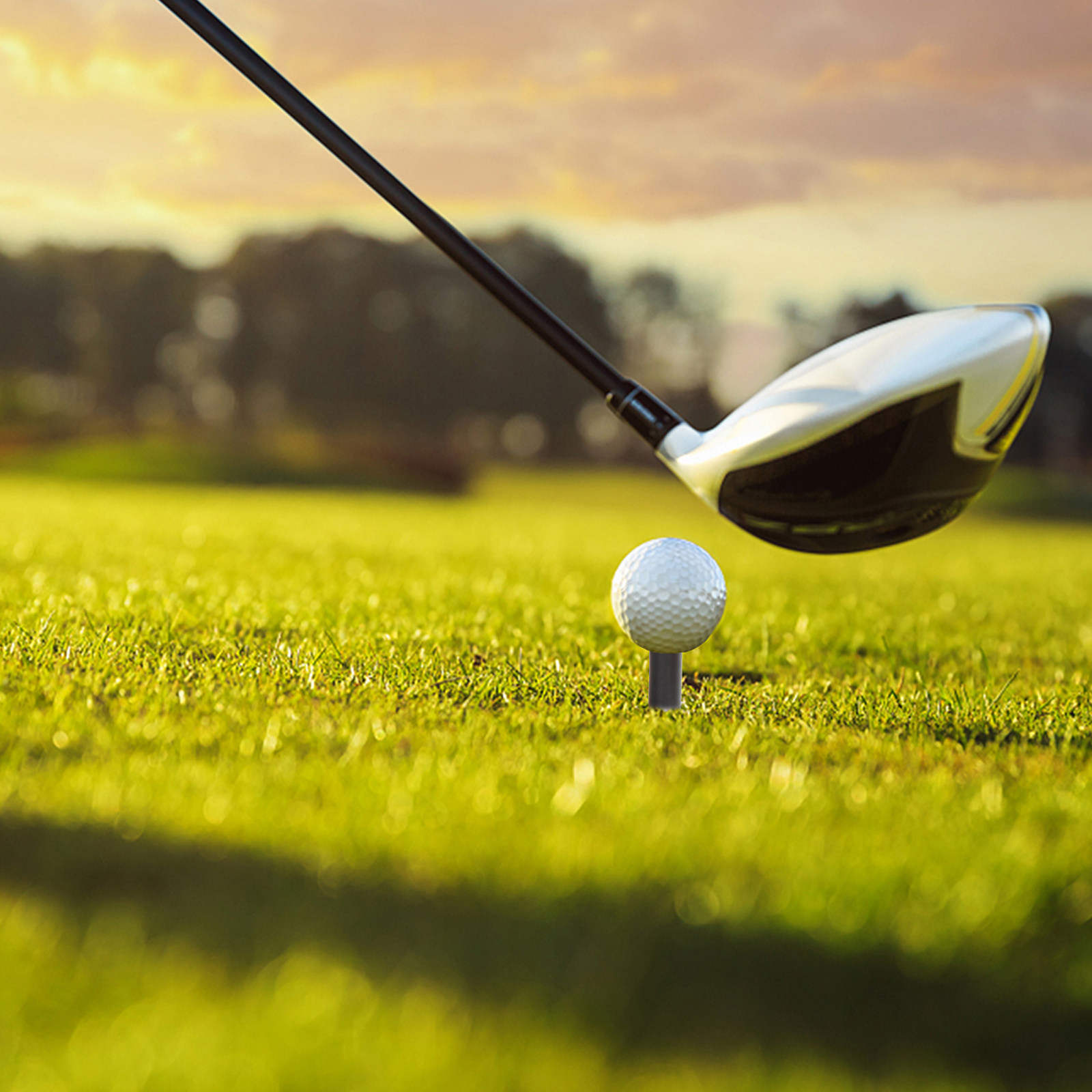 9개 골프 훈련용 골프 티 액세서리 드라이빙 레인지 매 - Practice Equipment For Golf 리뷰 및 가격